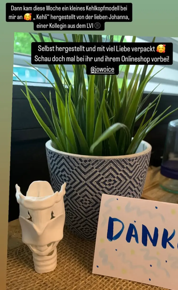 Rezension Kehlkopfmodell