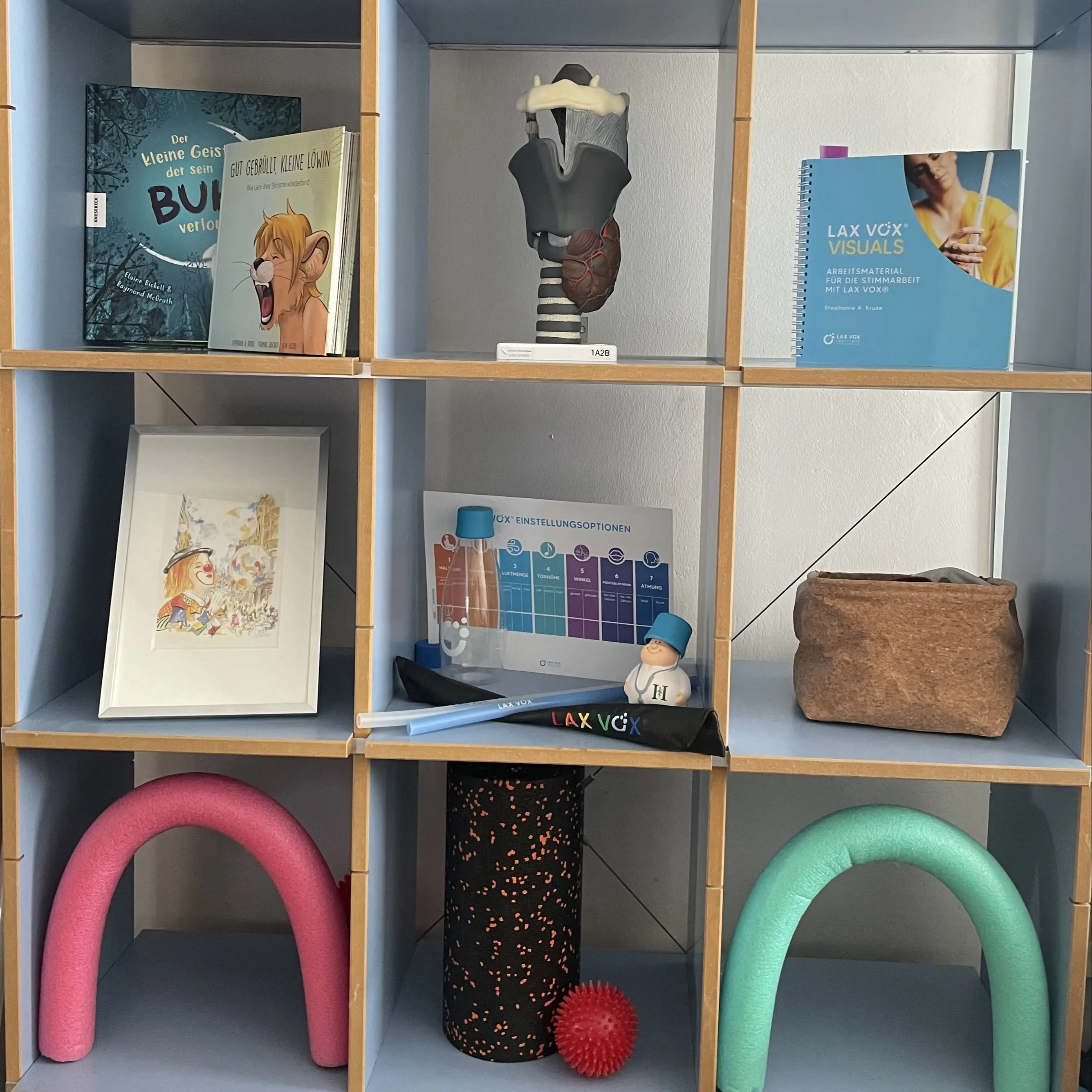Ein Regal mit einem anatomischen Kehlkopf-Modell, einem Original Clown-Bild von Jan Künster, LAX VOX® Visuals, LAX VOX® Flasche/Schlauch/Einstellungsoptionen, Bücher zu kindlichen Stimmstörungen, Therapiematerial