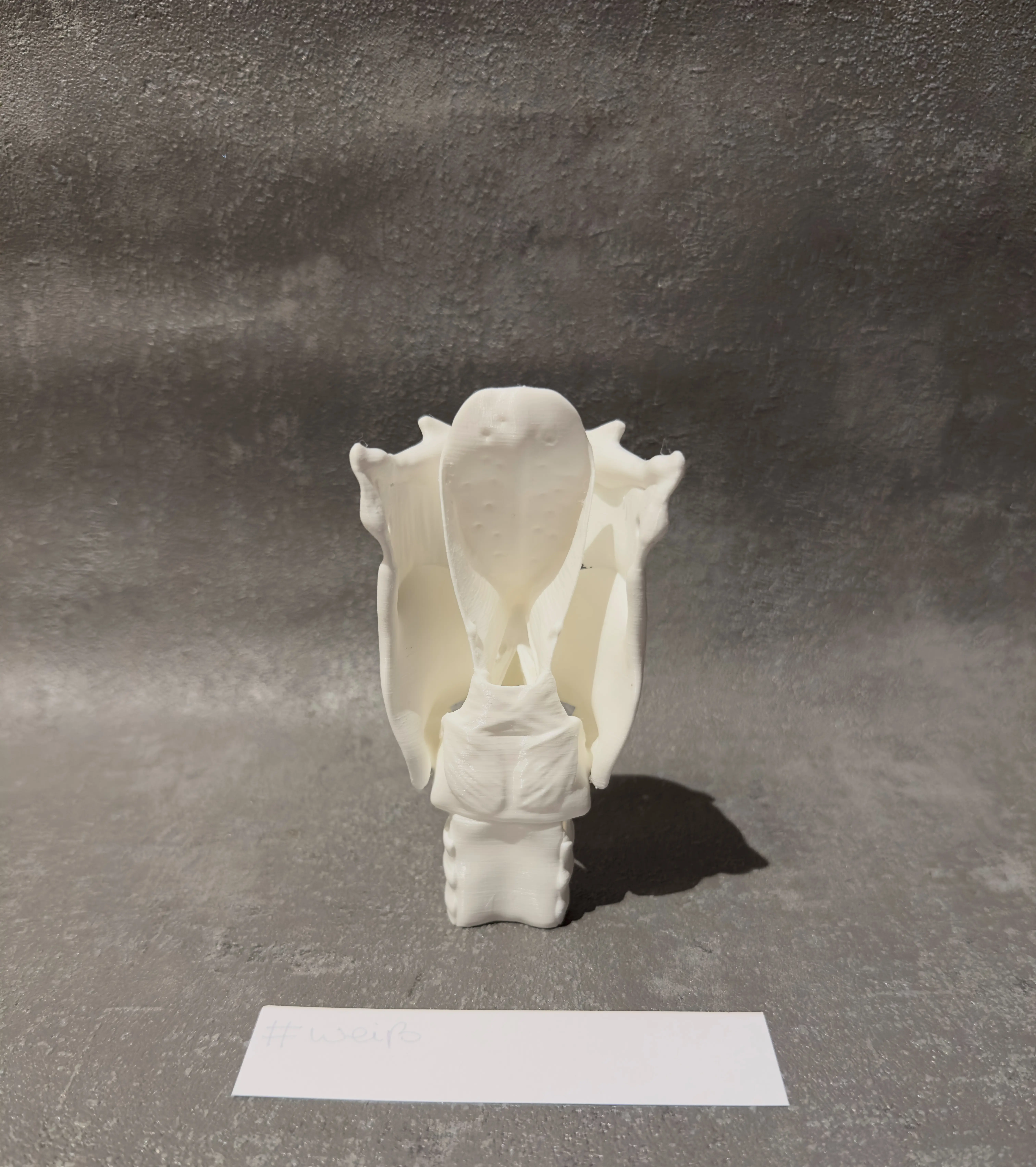 Weißes Kehlkopf-Modell zur Veranschaulichung der Larynx-Anatomie in der Praxis